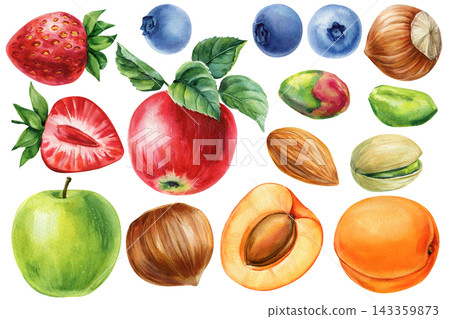Fruit and nuts watercolor set with red apples strawberries blueberries apricots almonds hazelnuts and pistachios isolated on white Fruit and nuts watercolor set with red apples strawberries blueberries apricots almonds hazelnuts and pistachios isolated on white 143359873