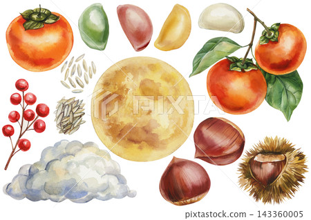Korean Chuseok Harvest Watercolor Set with Persimmon Songpyeon Rice Full Moon Chestnuts Red Berries and Cloud on White Background Korean Chuseok Harvest Watercolor Set with Persimmon Songpyeon Rice Full Moon Chestnuts Red Berries and Cloud on White Background 143360005