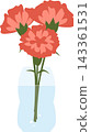Illustration of carnations in a clear vase 143361531