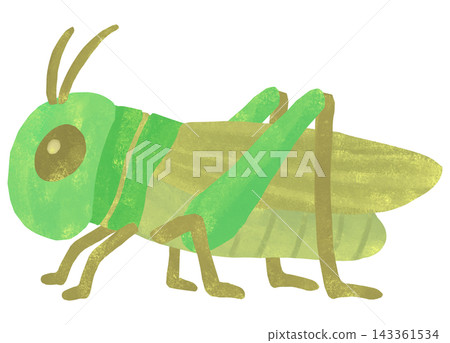 一幅簡單可愛的蚱蜢插圖 一幅簡單可愛的蚱蜢插圖 143361534