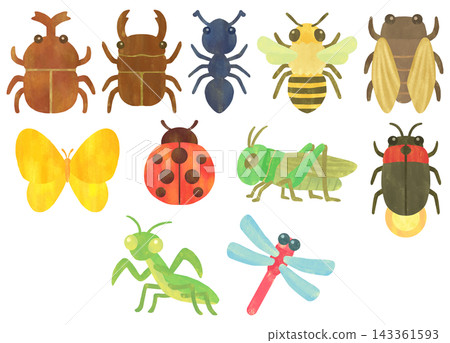 一組簡單可愛的昆蟲插圖 一組簡單可愛的昆蟲插圖 143361593