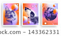 Set of cats with a halftone effect in retro grainy gradient background vector illustration 143362331