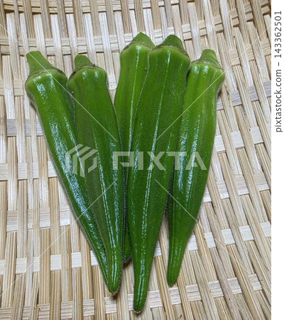 收穫的秋葵 收穫的秋葵 143362501