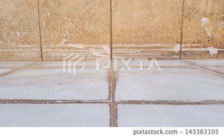 Grimy brown tile wall meets a white floor stained with mold and mineral deposits Grimy brown tile wall meets a white floor stained with mold and mineral deposits 143363105