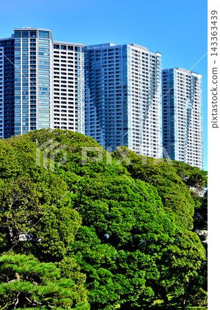 從濱離宮花園看到的超高層公寓大樓-勝須大廈。 從濱離宮花園看到的超高層公寓大樓-勝須大廈。 143363439