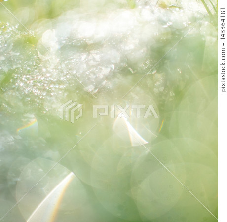 Sparkling pattern, fresh greenery, eco-friendly image Sparkling pattern, fresh greenery, eco-friendly image 143364181