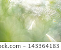 閃亮的圖案，清新的綠色，環保的形象 143364183