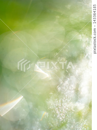 Sparkling pattern, fresh greenery, eco-friendly image Sparkling pattern, fresh greenery, eco-friendly image 143364185