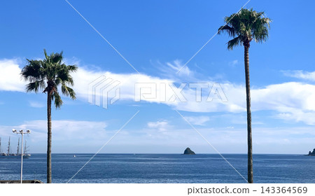 The beautiful scenery of Ito coast with its blue sky and palm trees. The beautiful scenery of Ito coast with its blue sky and palm trees. 143364569