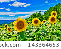 Summer festival 143364653
