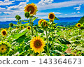 Summer festival 143364673