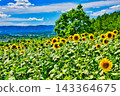 Summer festival 143364675