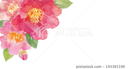 水彩山茶花畫框 水彩山茶花畫框 143365190