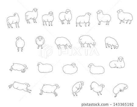 A set of monochrome line art illustrations of fluffy sheep in various poses. A set of monochrome line art illustrations of fluffy sheep in various poses. 143365192