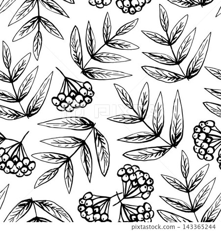 Simple hand-drawn graphic black and white vector seamless pattern. Rowan berries and leaves, twigs. For prints of fabric, textile products, packaging. 143365244