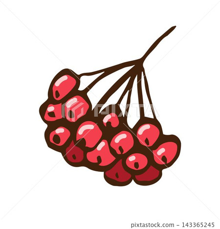 Red rowan berries on a branch isolated on white background. For prints, stickers, autumn winter decor. Hand-drawn simple drawing. Red rowan berries on a branch isolated on white background. For prints, stickers, autumn winter decor. Hand-drawn simple drawing. 143365245