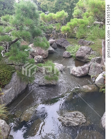 一條清澈的溪流流過新鮮的綠色森林 一條清澈的溪流流過新鮮的綠色森林 143365584