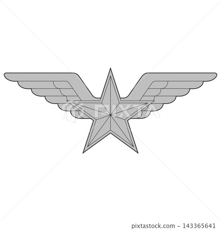 Gray Outline Winged Star Gray Outline Winged Star 143365641