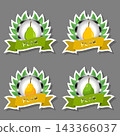 Sweet juicy tasty natural eco product pear 143366037