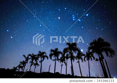 在宮古島拍攝的繁星點點的夜空,螢幕底部排列著棕櫚樹的輪廓。 在宮古島拍攝的繁星點點的夜空,螢幕底部排列著棕櫚樹的輪廓。 143366133