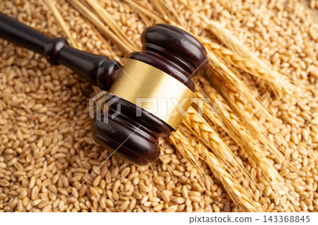 Judge gavel hammer with wheat ear grain from agriculture farm. Judge gavel hammer with wheat ear grain from agriculture farm. 143368845