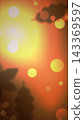 Autumn Amber Light Leaks Leaf Shadows Backdrop 143369597