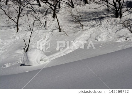 大塊的積雪從山坡上滾落,樹木的陰影投下斑駁的光影,構成了一個冬日景象。 大塊的積雪從山坡上滾落,樹木的陰影投下斑駁的光影,構成了一個冬日景象。 143369722
