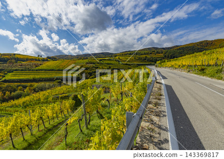 Weisenkirchen in der Wachau vineyards with road in autumn Weisenkirchen in der Wachau vineyards with road in autumn 143369817