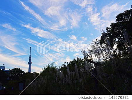 傍晚的雲朵緩緩飄過 傍晚的雲朵緩緩飄過 143370281