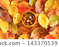 Colorful autumn leaves surround acorns in a round tin. 143370539