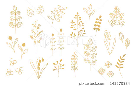 植物插圖套裝,向量圖,包含葉子、鈴蘭、果實、花朵、裝飾、背景、飾品、邊框、基本款 植物插圖套裝,向量圖,包含葉子、鈴蘭、果實、花朵、裝飾、背景、飾品、邊框、基本款 143370584