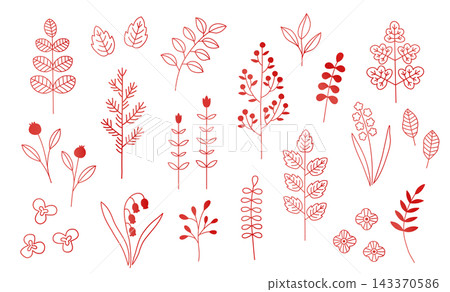 植物插圖套裝，向量圖，包含葉子、鈴蘭、果實、花朵、裝飾、背景、飾品、邊框、基本款 143370586