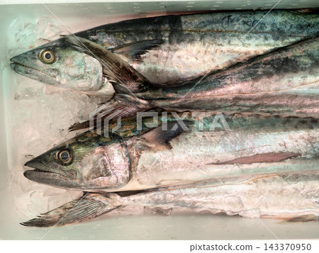 市場上擺放著一排西班牙鯖魚。 市場上擺放著一排西班牙鯖魚。 143370950