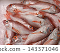 Red snapper lined up in the market 143371046