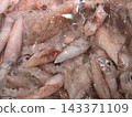 Squid lined up at the market 143371109
