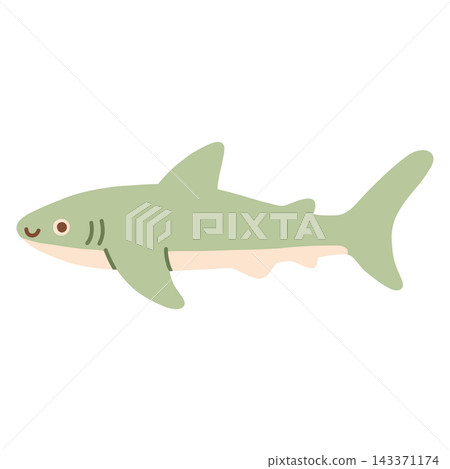 Cute green shark character vector illustration with friendly smile. Ocean animal isolated on white background for kids prints, nursery art, and summer stickers Cute green shark character vector illustration with friendly smile. Ocean animal isolated on white background for kids prints, nursery art, and summer stickers 143371174