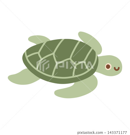 Cute green sea turtle character vector illustration. Cute ocean animal swimming isolated on white background for kids nursery decor, stickers, and educational graphics 143371177