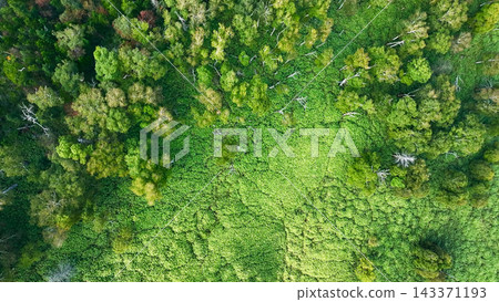 Drone aerial footage of a forest from directly above. Nature, environment, forest, SDGs, ecology, directly overhead, trees, plateau, mountainous area, landscape, scenery Drone aerial footage of a forest from directly above. Nature, environment, forest, SDGs, ecology, directly overhead, trees, plateau, mountainous area, landscape, scenery 143371193