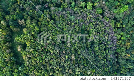 Drone aerial footage of a forest from directly above. Nature, environment, forest, SDGs, ecology, directly overhead, trees, plateau, mountainous area, landscape, scenery Drone aerial footage of a forest from directly above. Nature, environment, forest, SDGs, ecology, directly overhead, trees, plateau, mountainous area, landscape, scenery 143371197