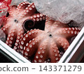 Boiled octopus lined up in the market 143371279