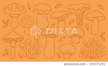 Hand drawn wild forest mushrooms line art set isolated on orange background. Great for botanical prints, autumn harvest designs, food packaging, and fall art Hand drawn wild forest mushrooms line art set isolated on orange background. Great for botanical prints, autumn harvest designs, food packaging, and fall art 143371291