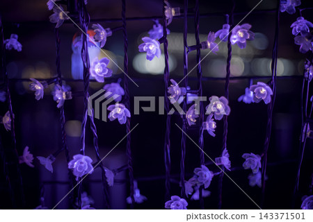 花的照明 花的照明 143371501