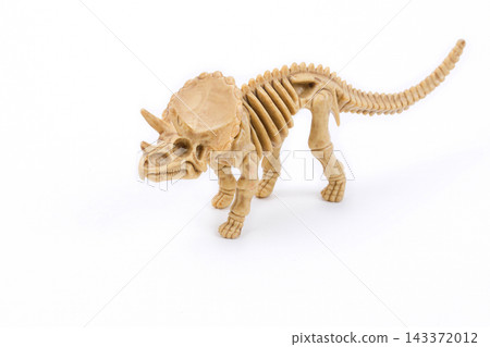 Triceratops skeleton on a white background Triceratops skeleton on a white background 143372012