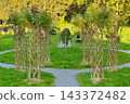 Decorative braided willow sculptures with woven lattice trunks in an autumn public park garden with changing yellow fall foliage background. 143372482