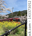 Sakura, rape blossoms and red train 143373052
