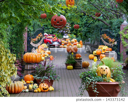 Autumn garden pathways adorned with greenery and pumpkins 143373142