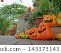 Autumn decorations with green arches and jack-o'-lanterns 143373143