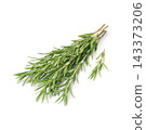 Rosemary herbs on white backgrounds 143373206