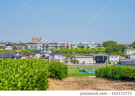 靜岡縣磐田市寧靜的鄉村小鎮風光和茶園,這裡是該地區特色茶葉的產地。 靜岡縣磐田市寧靜的鄉村小鎮風光和茶園,這裡是該地區特色茶葉的產地。 143373775