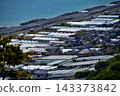 靜岡縣靜岡市、久能山、駿河灣 143373842